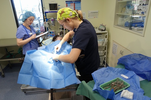 Surgery